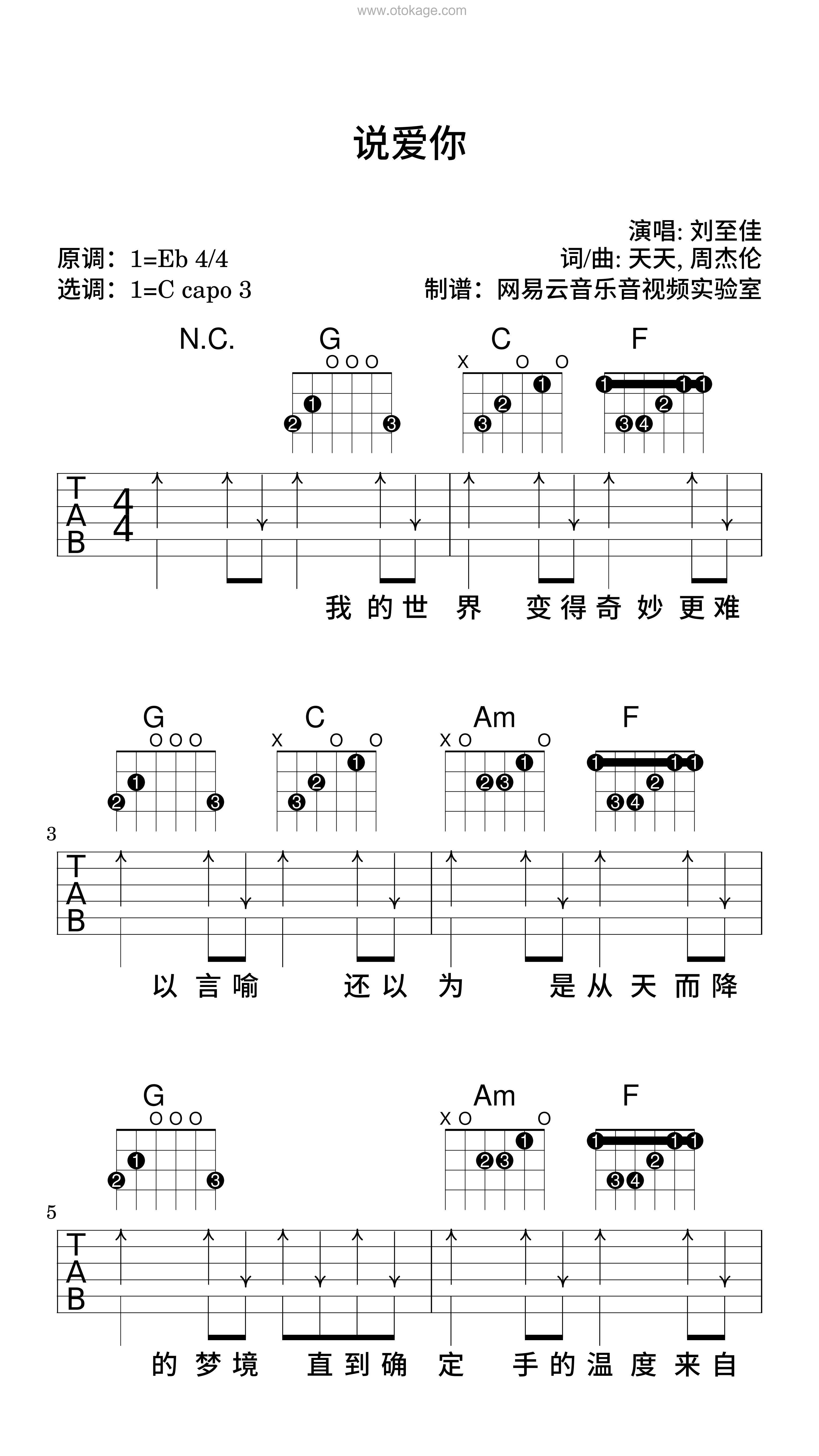 刘至佳《说爱你吉他谱》降E调_编配精致感人