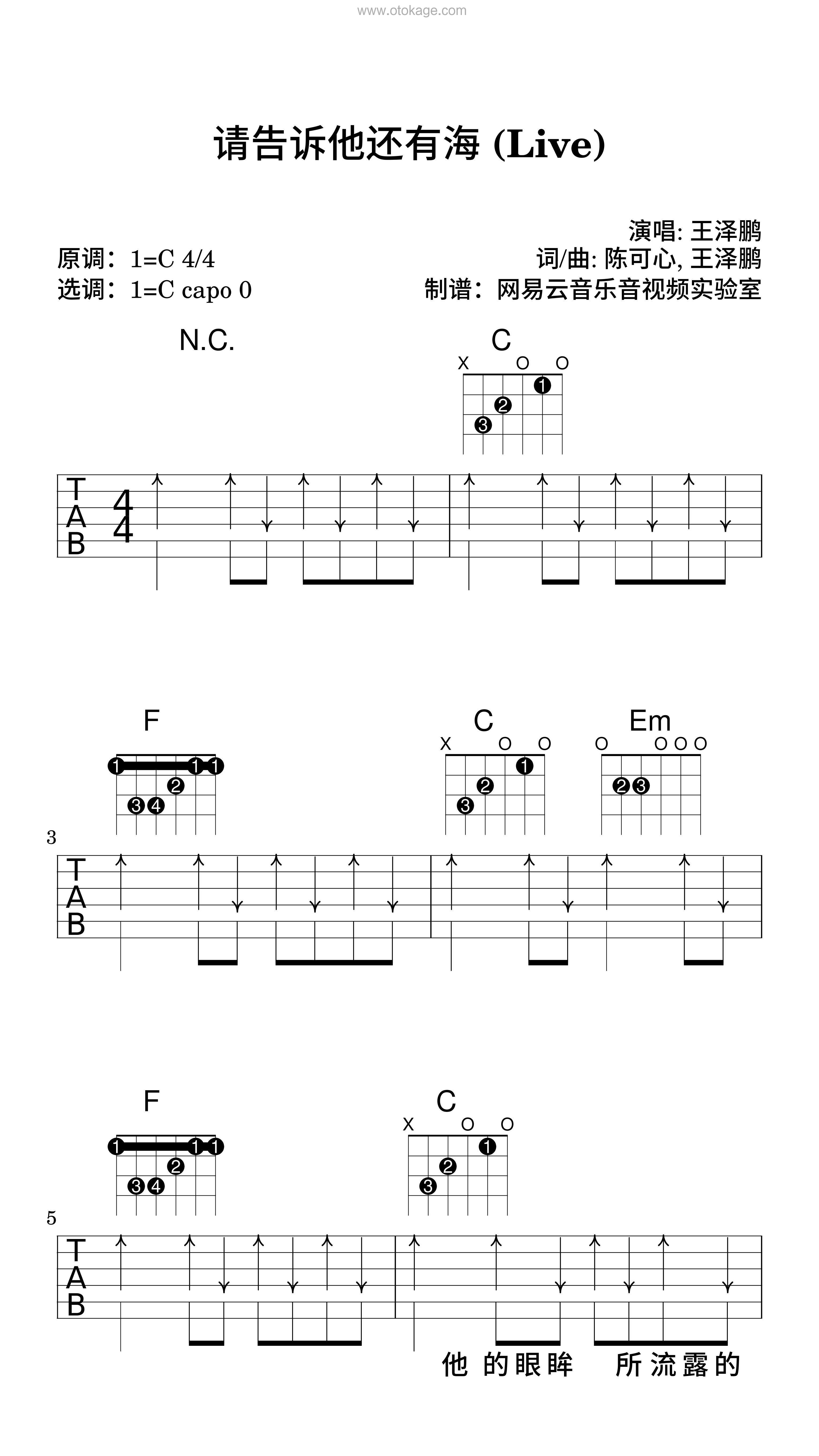 王泽鹏《请告诉他还有海 (Live)吉他谱》C调_音乐编排细腻