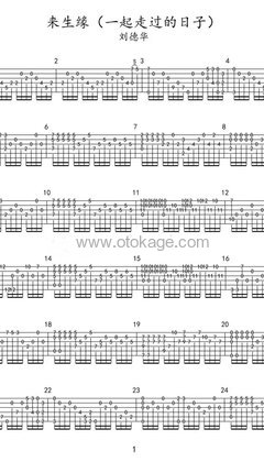 刘德华《一起走过的日子吉他谱》G调_完美和声编排