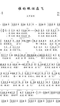 孟庭苇《谁的眼泪在飞人声谱》A调_打动人心的旋律