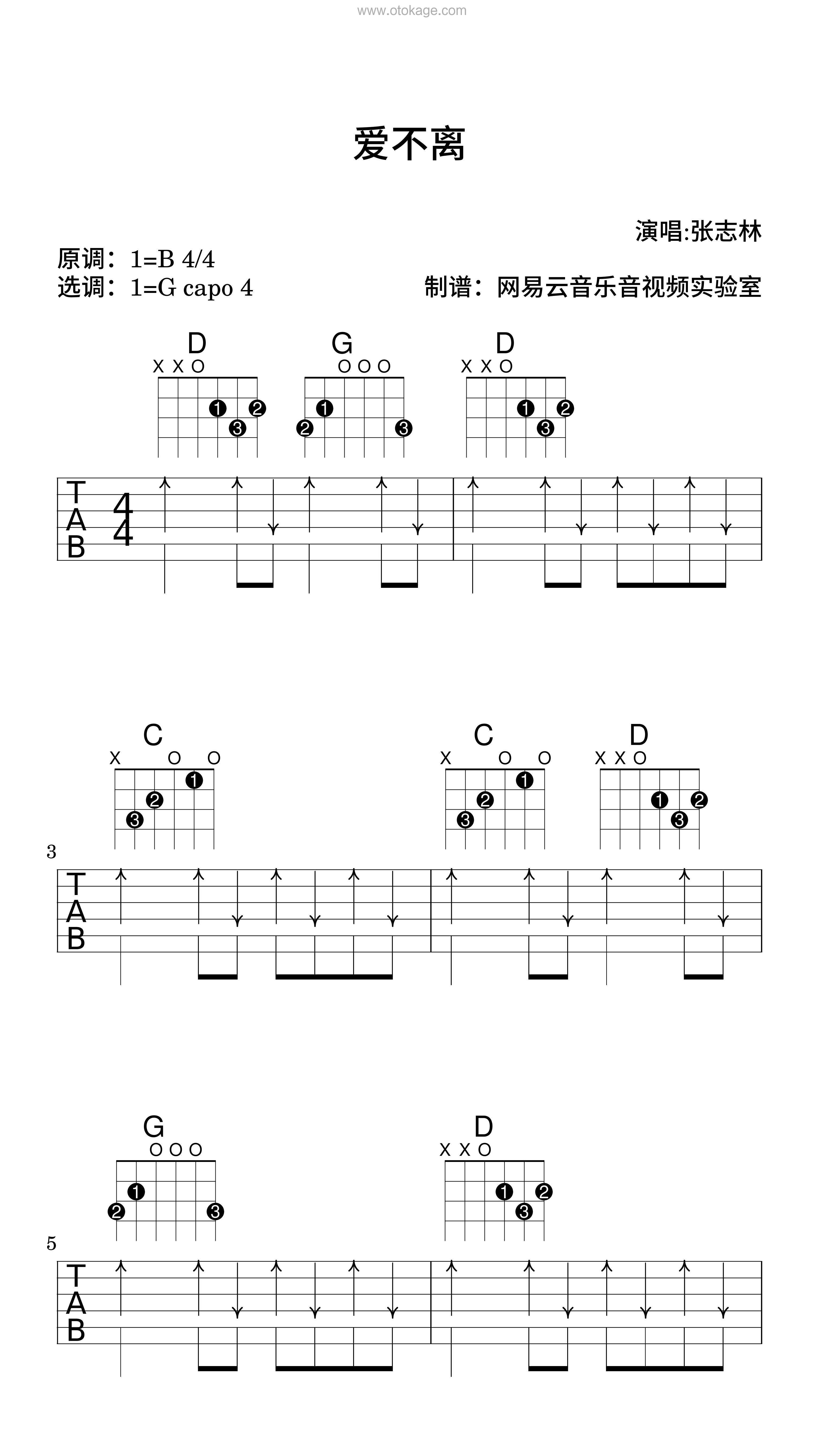 张志林《爱不离吉他谱》B调_完美旋律设计