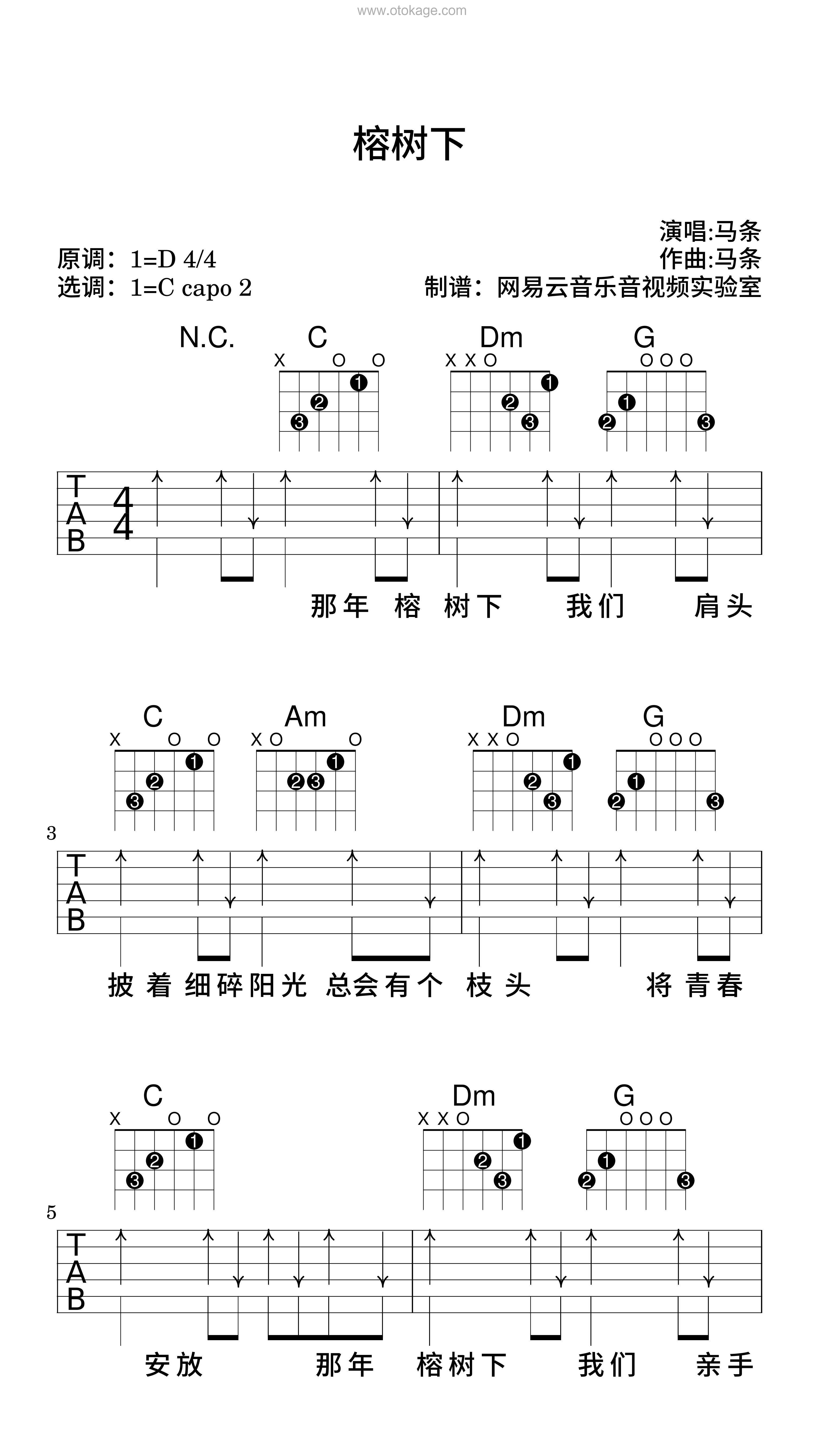 马条《榕树下吉他谱》D调_完美和声编排