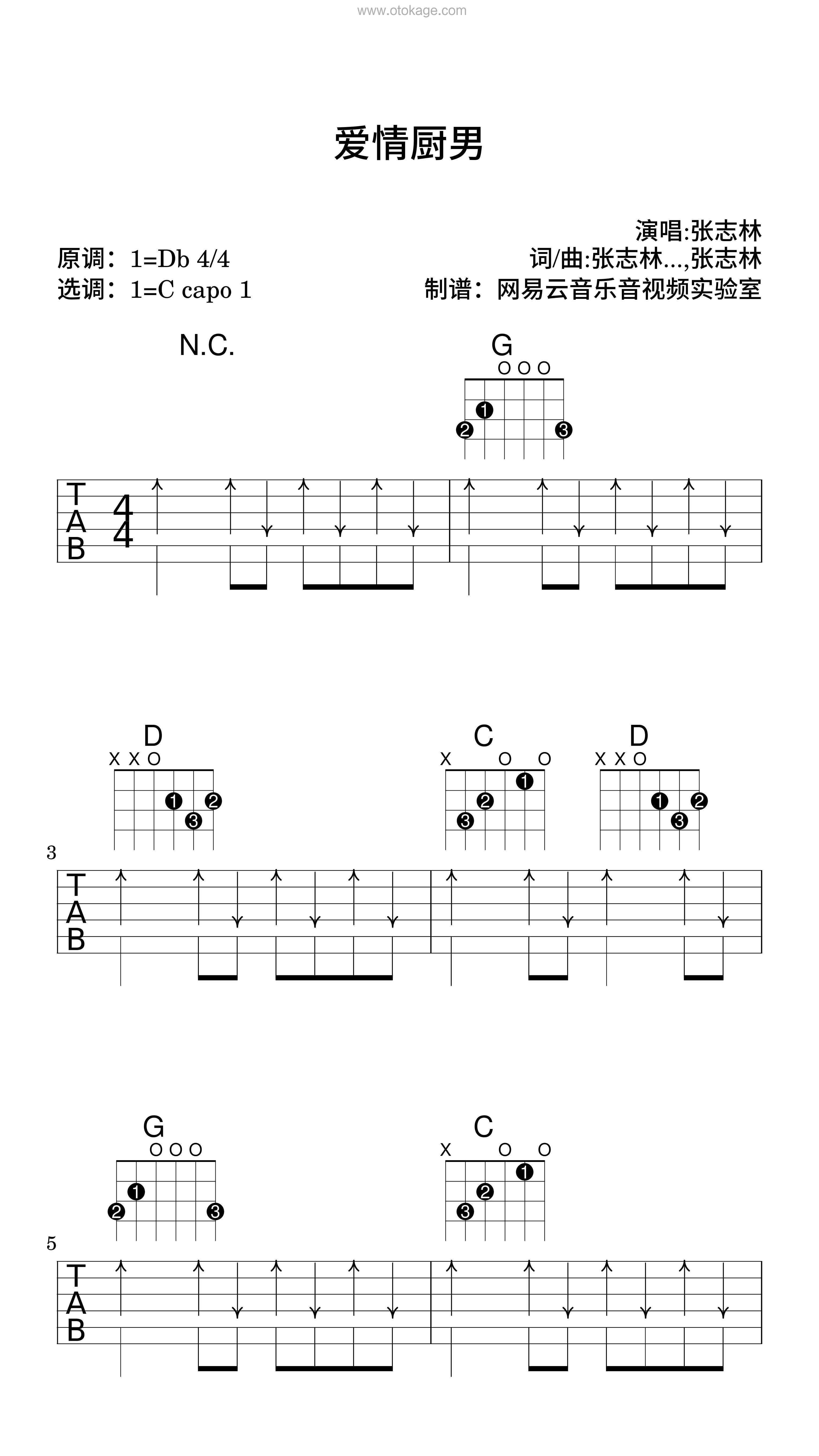 张志林《爱情厨男吉他谱》降D调_打动人心的旋律