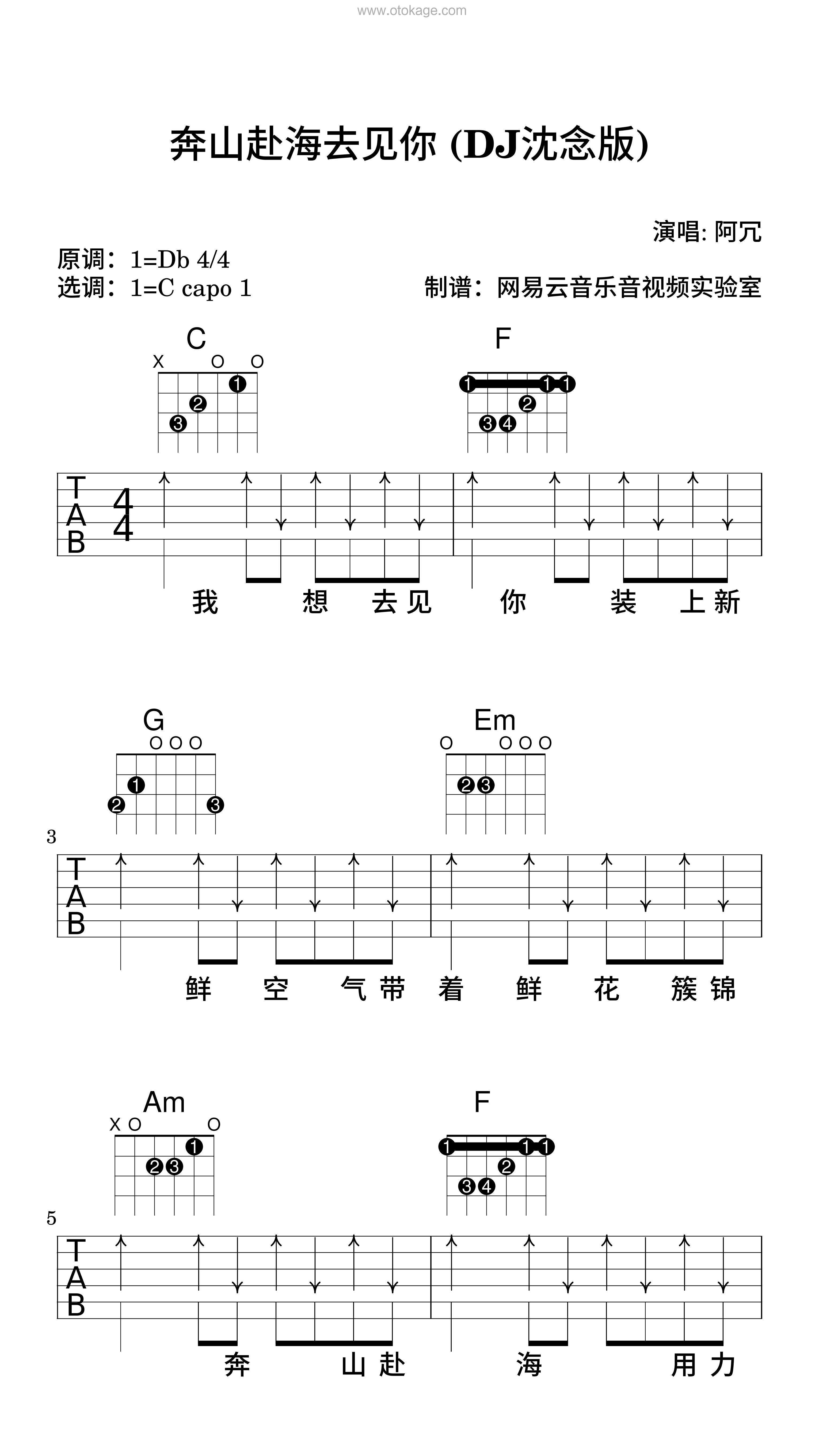阿冗《奔山赴海去见你 (DJ沈念版)吉他谱》降D调_节奏优雅轻快