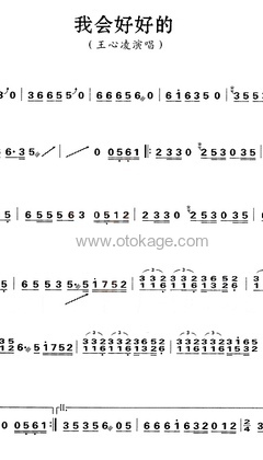 王心凌《我会好好的古筝谱》D调_音符轻柔抚慰心灵