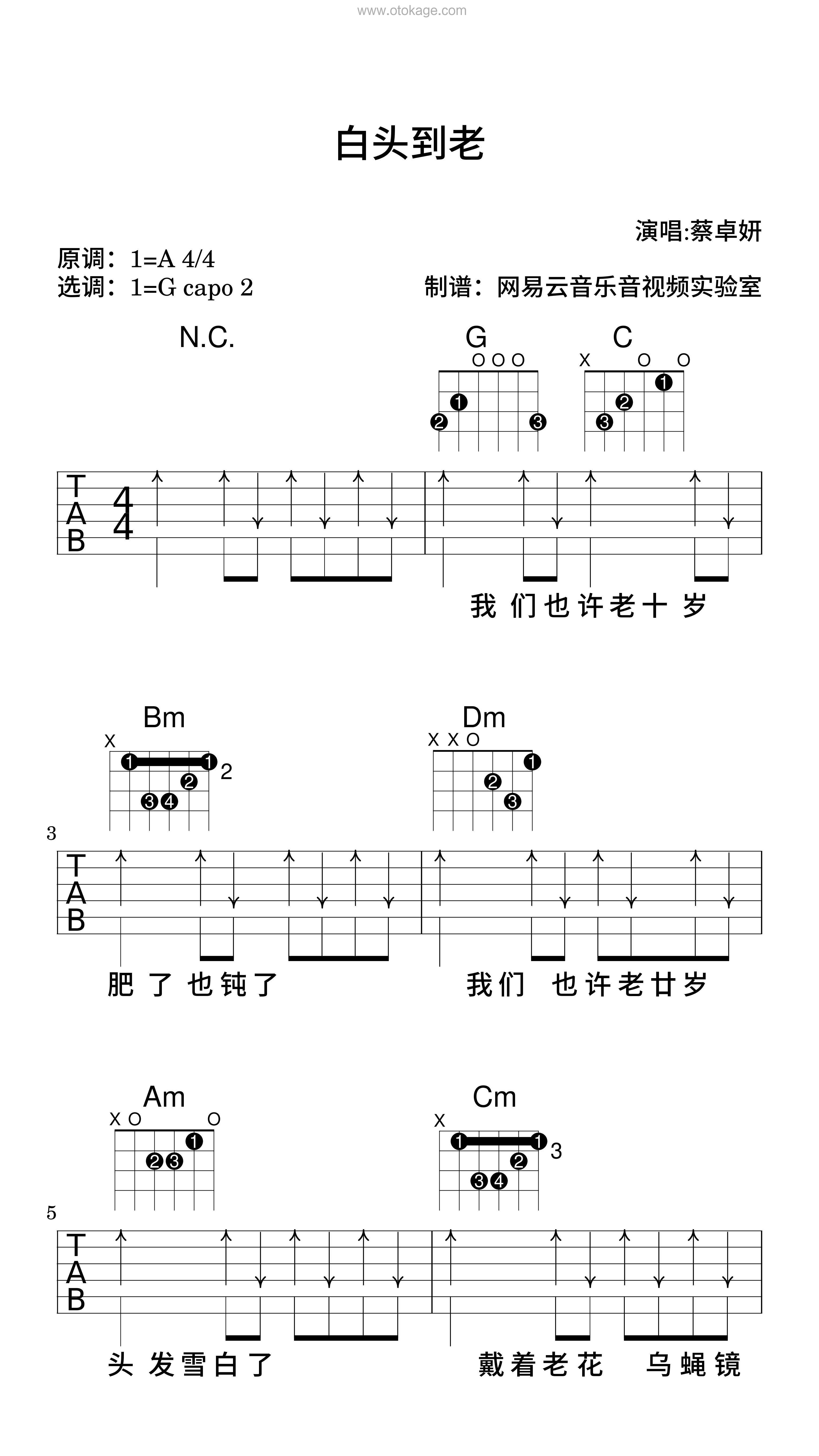 蔡卓妍《白头到老吉他谱》A调_音色纯净通透