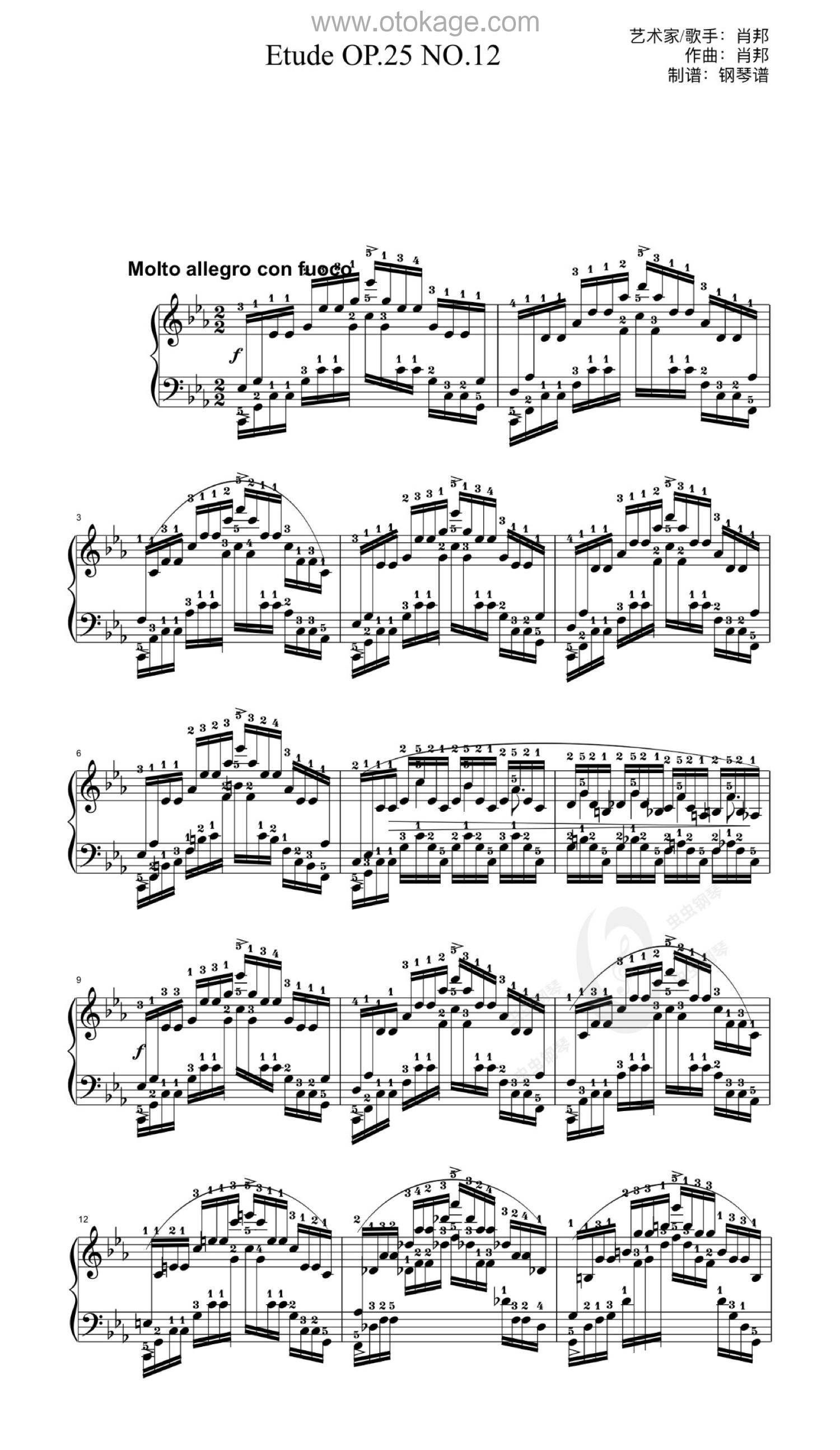 Vladimir Ashkenazy《12 Etudes, op. 25:No. 12 in C minor钢琴谱》降E调_音符串联情感