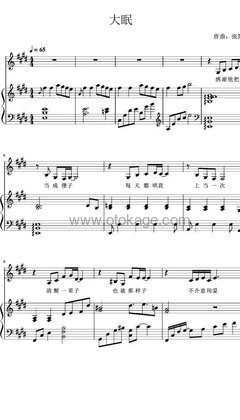 王心凌《大眠吉他谱》E调_音符与情感交织