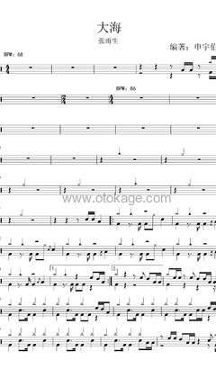 张雨生《大海打击乐谱》C调_简洁而不简单
