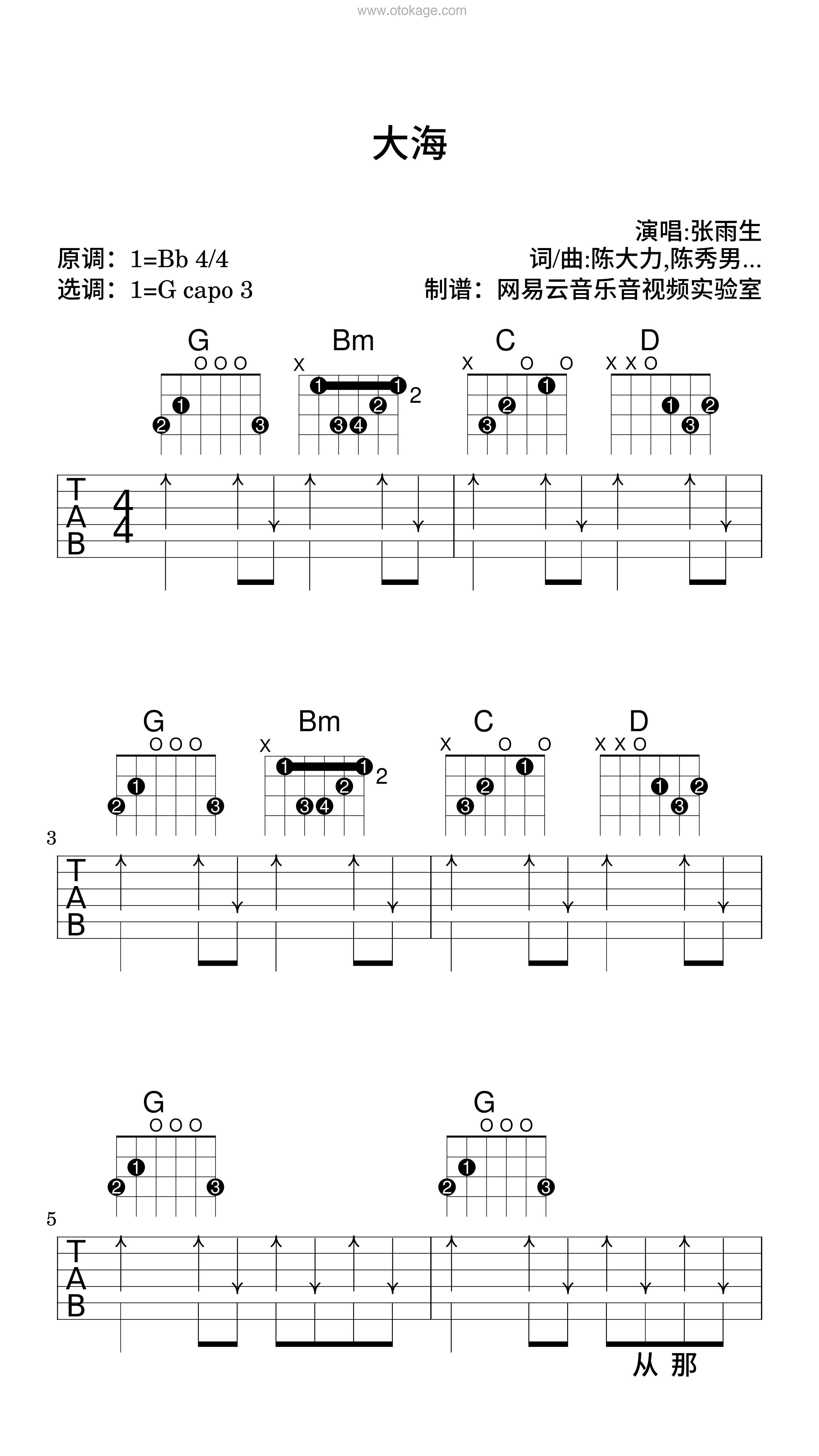 张雨生《大海吉他谱》降B调_节奏激发情感共鸣