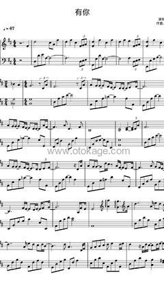 赵磊《有你钢琴谱》D调_编配非常用心