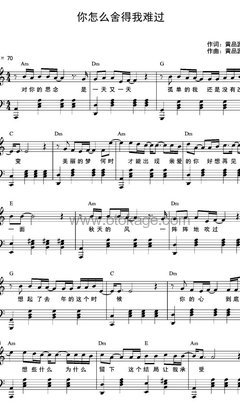 黄品源《你怎么舍得我难过钢琴谱》C调_音符美得令人陶醉