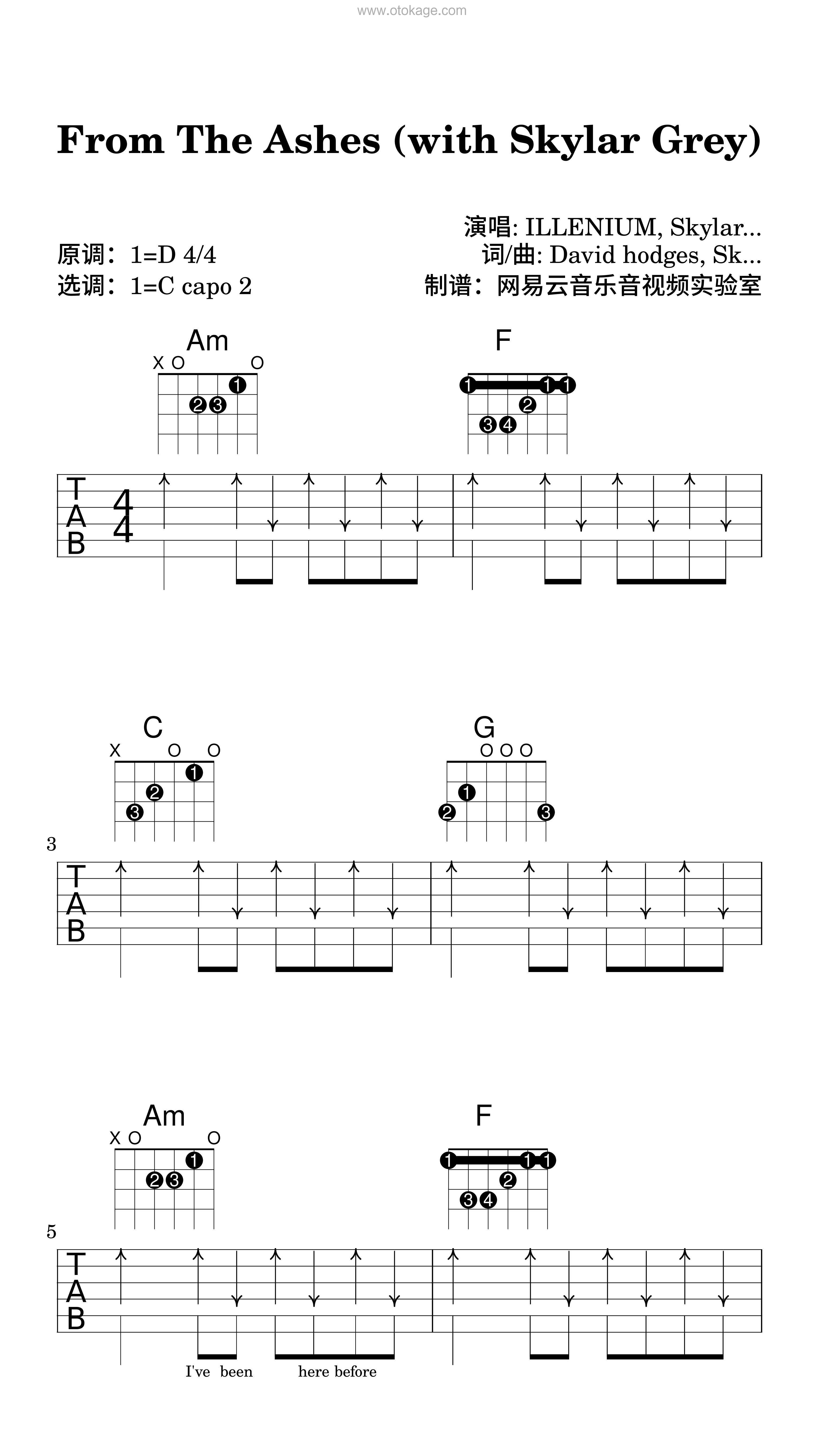 ILLENIUM,Skylar Grey《From The Ashes吉他谱》D调_完美和声编排