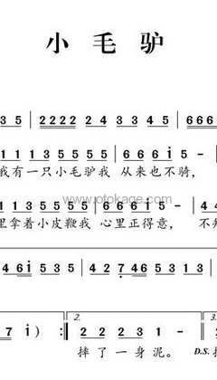巧千金《小毛驴人声谱》C调_音符与情感交织