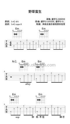 盛宇D-SHINE《野草蛮生吉他谱》G调_完美和声编排