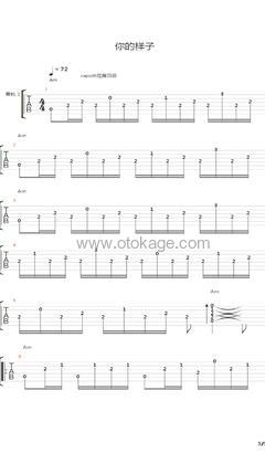 罗大佑《你的样子吉他谱》C调_旋律悦耳动听