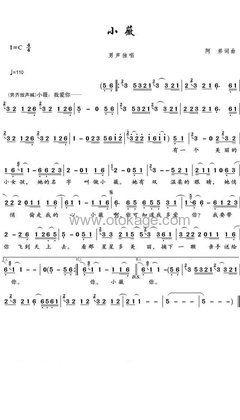 黄品源《小薇人声谱》C调_让人沉醉其中