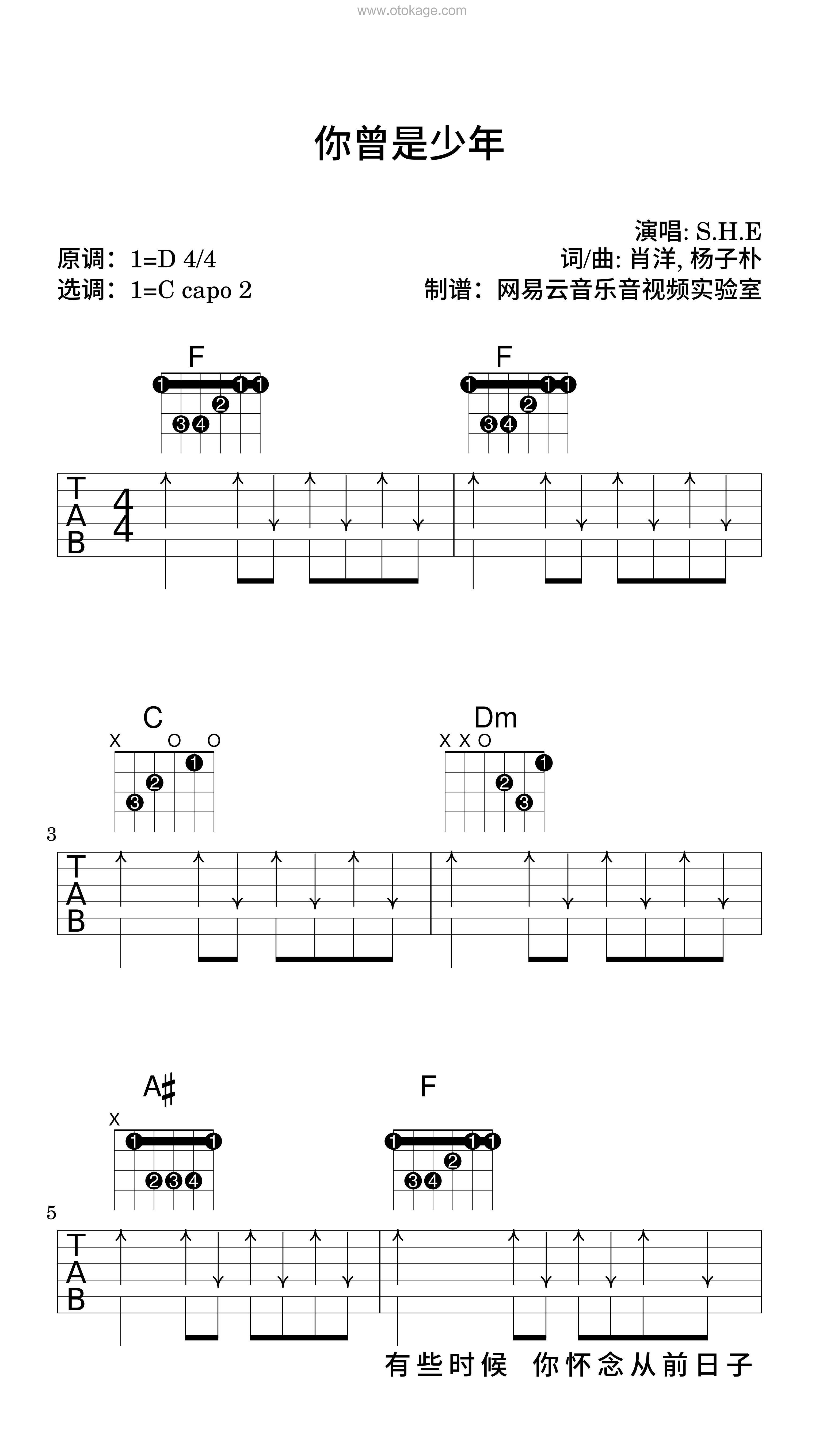 S.H.E《你曾是少年吉他谱》D调_编配精致感人